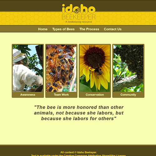 Online Media Photo Slider Image