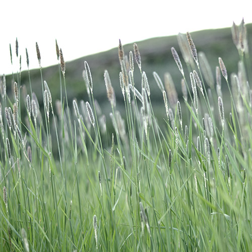 Photography Photo Slider Image