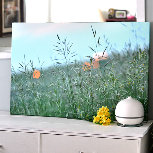 Photography Photo Slider Image