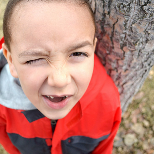 Photography Photo Slider Image